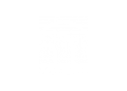 morgan group